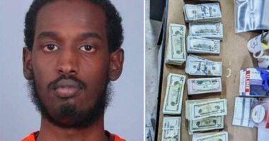 Minneapolis man Abdulkarim Farah who tried to bribe juror in $250M welfare fraud scandal sentenced