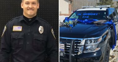 Minnesota police sergeant dies less than 24 hours after receiving brain infection diagnosis
