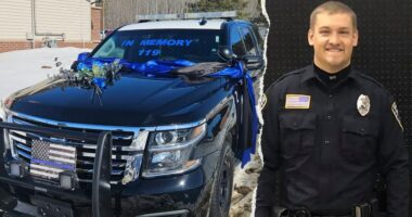 Minnesota police sergeant, father of two, dies suddenly after brain infection
