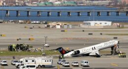 Miracle on the Tarmac: Flight Attendant Ejected in LaGuardia Crash Survives Despite Being Thrown 328 Ft.