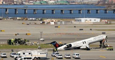 Miracle on the Tarmac: Flight Attendant Ejected in LaGuardia Crash Survives Despite Being Thrown 328 Ft.