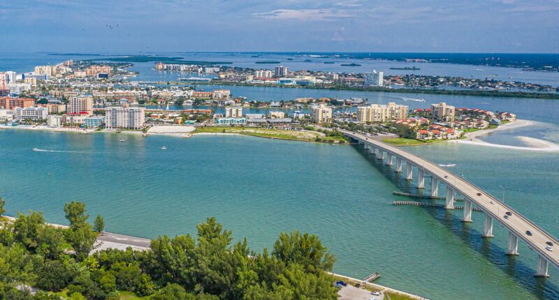 Missing paddleboarder found dead in Old Tampa Bay after a weekend disappearance near the causeway