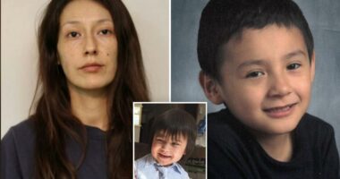 Mom Jennifer Marie Stately stabs son, 6, to death, setting home on fire blocking his brother from escaping: reports