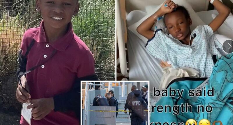 Mom of Brooklyn boy caught in crossfire aims to raise money to flee to safety