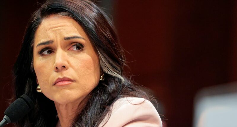 Moment Tulsi Gabbard put on the spot for 'lying' about Iran's nukes