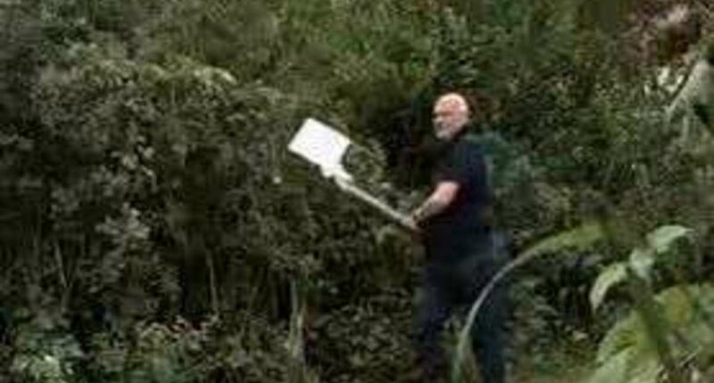 Moment high-flying HSBC executive hacks down a CCTV camera with an axe