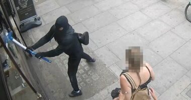 Moment sledgehammer-wielding thugs smash into and rob a luxury store