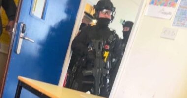 Moment white Brit, 15, is arrested after girl pupil stabbed in school