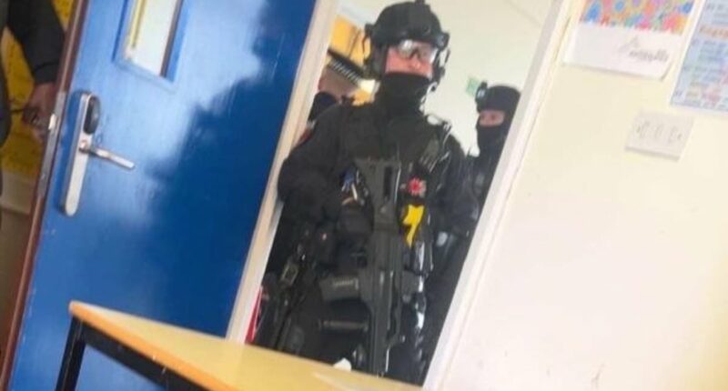 Moment white Brit, 15, is arrested after girl pupil stabbed in school