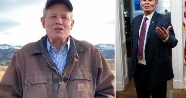 Montana GOP Sen. Steve Daines to 'pass the torch,' not seek reelection