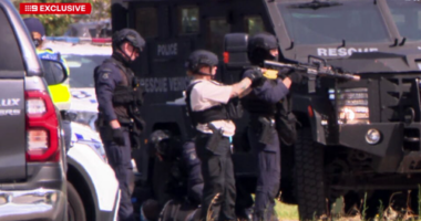 Pï»¿olice arrested more than a dozen people in Melbourne's west this morning following reports of an alleged assault.