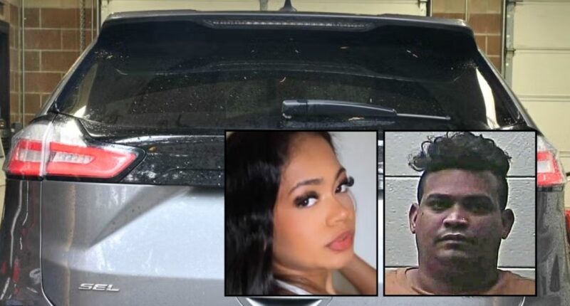 Mother found dead in blood-soaked SUV with crying baby and throat slashed after being butchered in front of the infant: DA