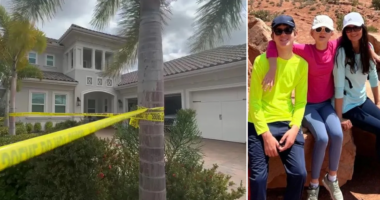 Mother in affluent Florida community killed 2 children before taking her own life: police