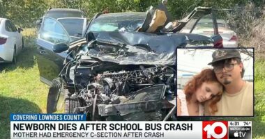 'My belly was on fire': Pregnant woman cries out in agony after bus driver 'ran' stop sign and obliterated car she was in, killing her unborn child, mom says