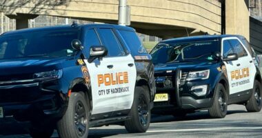 NJ man crawls through window, attempts to sexually assault girl before being subdued by resident: police