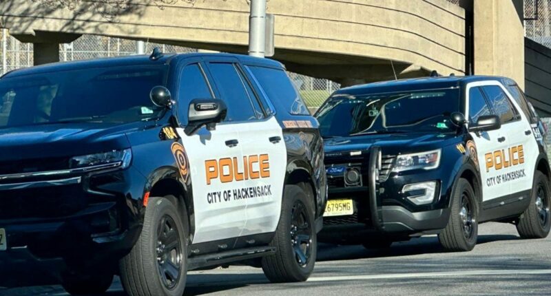 NJ man crawls through window, attempts to sexually assault girl before being subdued by resident: police