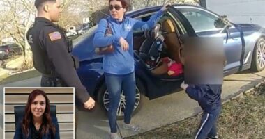 NJ mayor Gina LaPlaca pleads guilty to DUI child endangerment after St Patricks Day drunk driving arrest