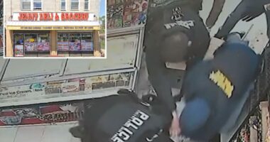 NJ police dogpile on teen who they mistook for tattooed 22-year-old suspect