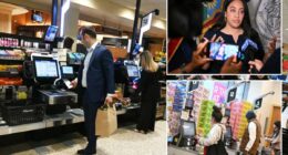 NYC Council Dems float bizarre plan to crack down on the supermarket self-checkout line