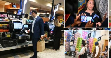 NYC Council Dems float bizarre plan to crack down on the supermarket self-checkout line