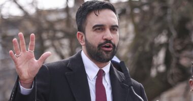 NYC mayor Zohran Mamdani quietly backs down on hugely unpopular tax