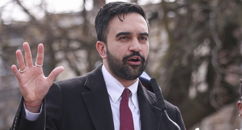 NYC mayor Zohran Mamdani quietly backs down on hugely unpopular tax