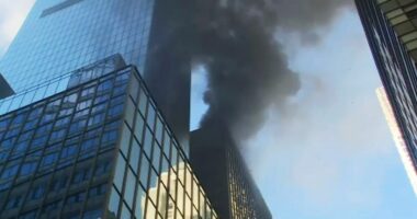 NYC rooftop fire casts shadow on St Patrick's Day Parade