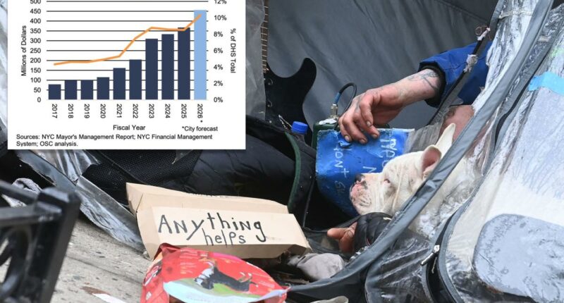 NYC spent roughly $81K per person on homeless services last year: comptroller