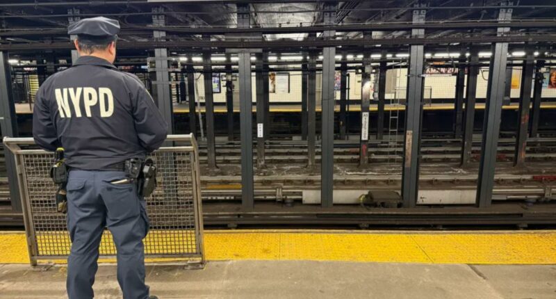NYC straphanger shoved onto tracks after trying to break up fight at Manhattan subway station