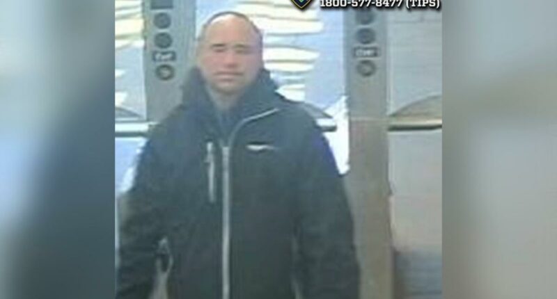 NYC subway mugger shakes Muslim rider, taunts her about Zohran Mamdani: sources