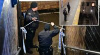NYC transit crime spiked nearly 20% as subway ejections paused due to extreme cold: NYPD