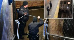 NYC transit crime spiked nearly 20% as subway ejections paused due to extreme cold: NYPD