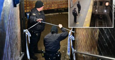 NYC transit crime spiked nearly 20% as subway ejections paused due to extreme cold: NYPD