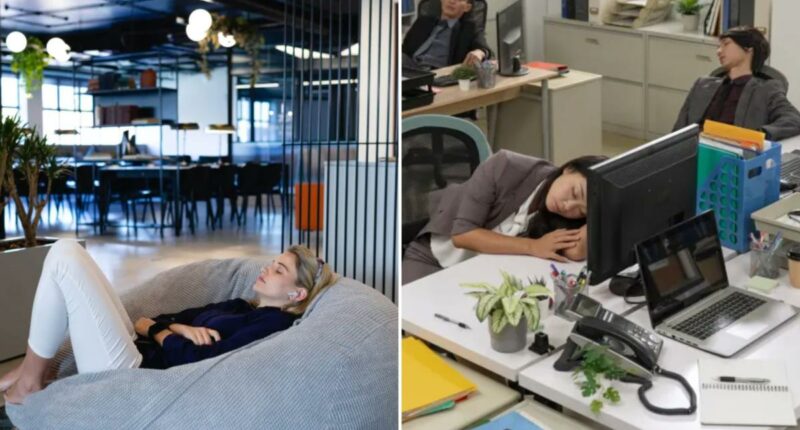 NYC workers flee 9-to-5 for cry rooms and nap pods