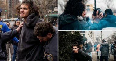 NYC's alleged ISIS-loving wannabe bomber was once a clever online sneaker entrepreneur