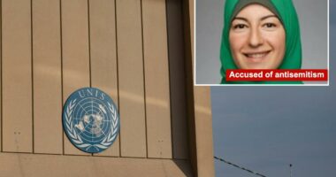 NYC's elite United Nations school sued over alleged 'sustained and targeted' antisemitism