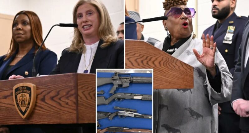 NYPD announces more than 1,000 firearm seizures to start 2026