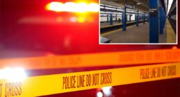 NYPD cop clocked in the head by stabbing suspect during botched arrest at NYC subway station