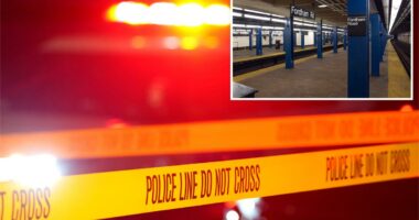 NYPD cop clocked in the head by stabbing suspect during botched arrest at NYC subway station