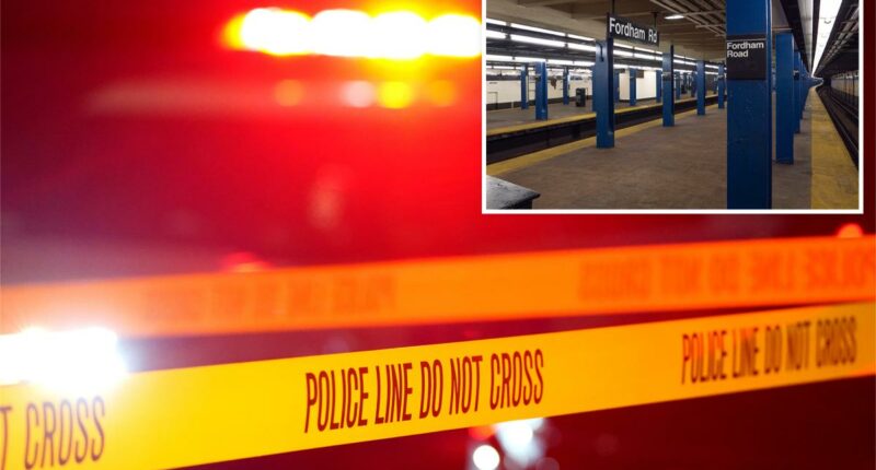 NYPD cop clocked in the head by stabbing suspect during botched arrest at NYC subway station