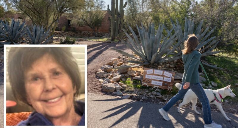 Nancy Guthrie neighbors asked about Internet glitches on night she went missing: report