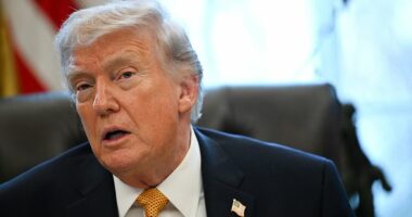 Nato snubs Trump: Finland says 'we have Russia to take care of'