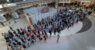 Nearly HALF of TSA agents call out at America's busiest airports