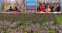 'Never seen anything like this before'