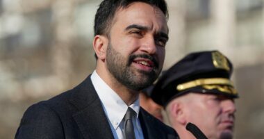 New: Afghan Bomb Suspect’s Parents Own $2.5M PA Mansion