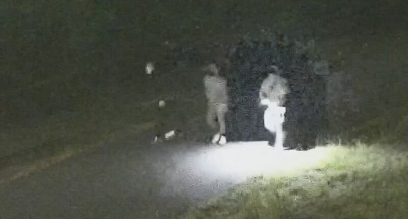 New CCTV images released over kidnapping and murder of Chris Baghsarian