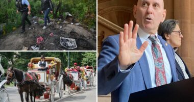 New NYC Council caucus must crack down on animal sacrifices: Queens pol