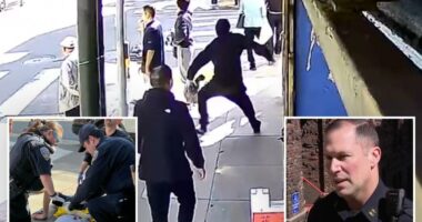 New details about suspect in unprovoked stabbing on San Francisco street