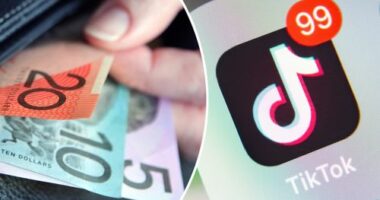 New feature lets everyday Aussies make cash on TikTok