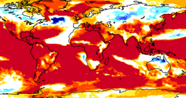 The European Centre for Medium-Range Weather Forecasts' seasonal forecast map for El NiÃ±o.